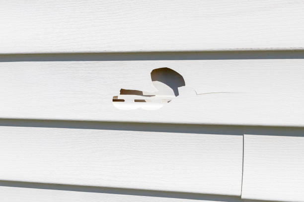 Best Vinyl Siding Installation  in Salem, IN