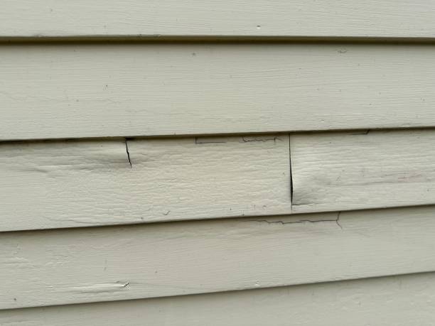 Best Storm Damage Siding Repair  in Salem, IN